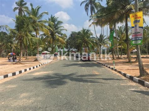 Highly residential area with private road access and nice view. . Ikmanlk land for sale galle